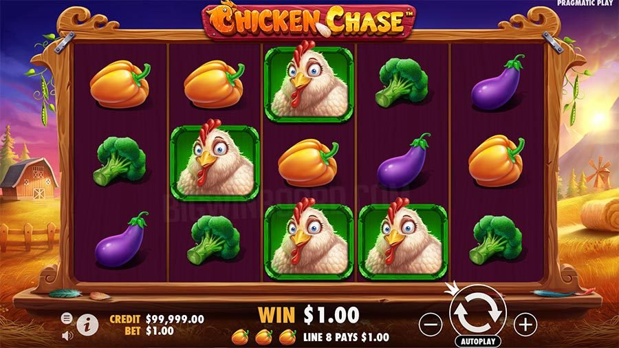 Chicken Chase